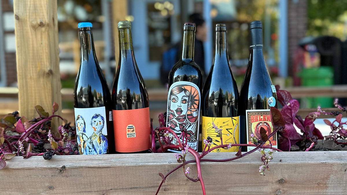 5 bottles of natural wines with very lively branding displayed in planters filled with purple climbing spinach